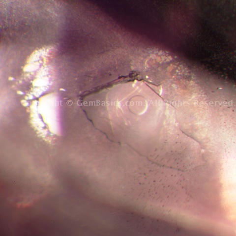 Fluid inclusions in a 1.22ct stone